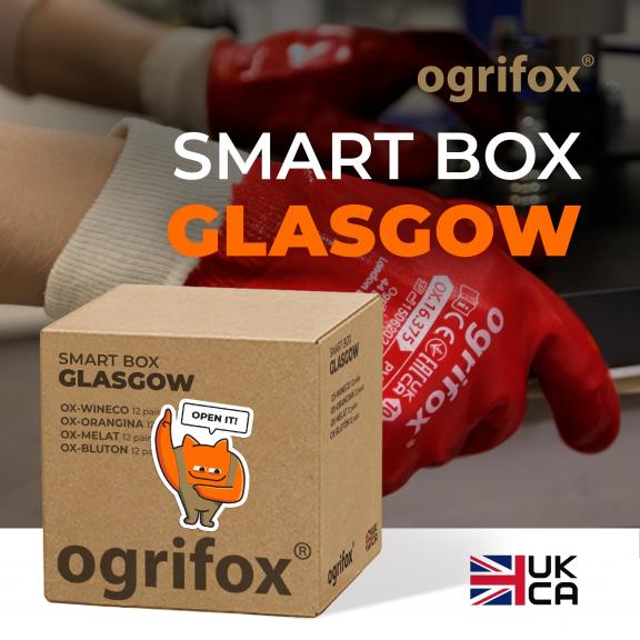 SMART BOX GLASGOW | 4 types of safety gloves in a box | OX-WINECO, OX-ORANGINA, OX-MELAT, OX BLUTON | 48 pairs in a box
