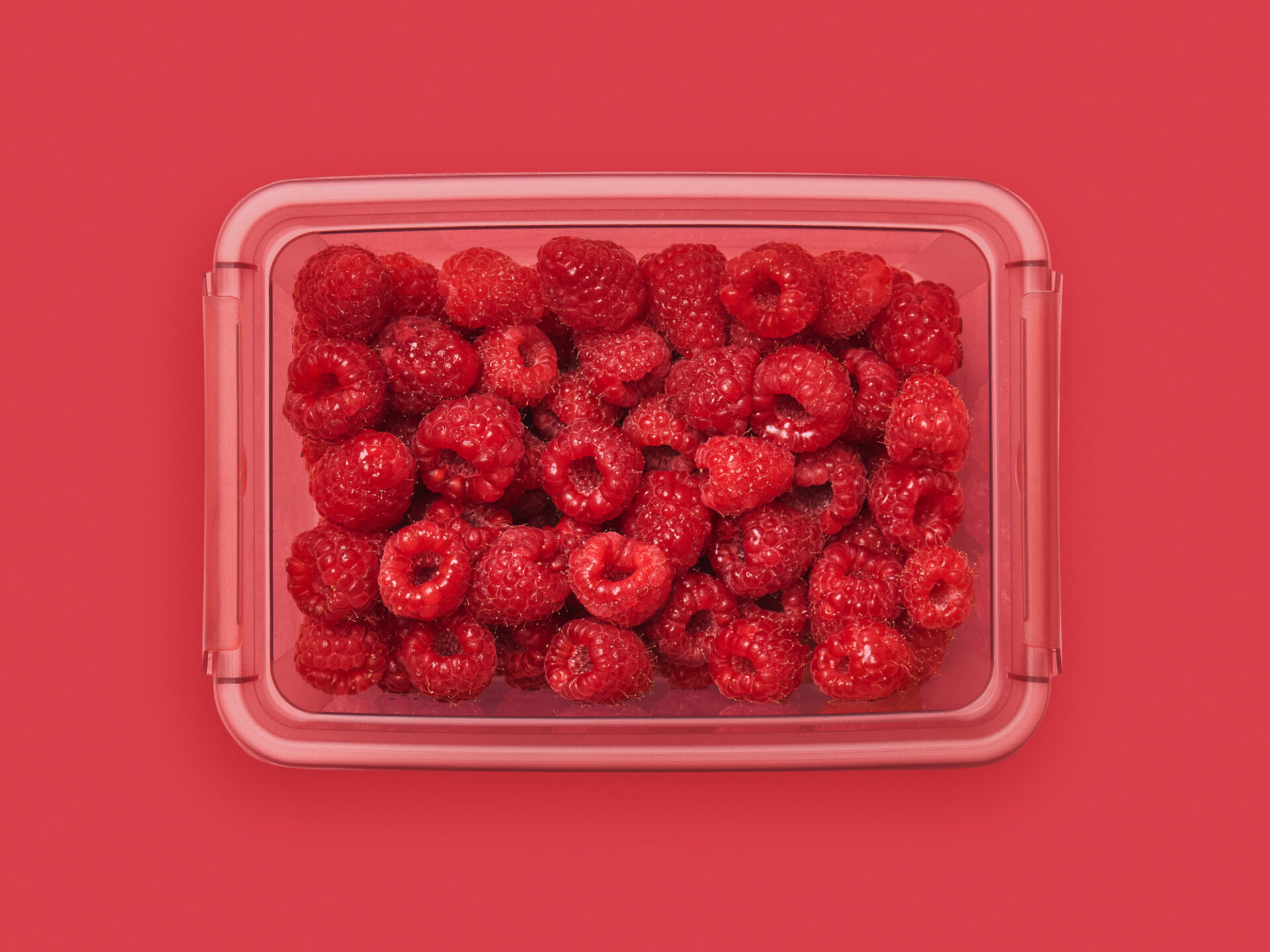 Letnia organizacja kuchni restauracyjnej – jak przechowywać świeże produkty?